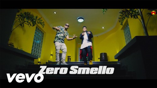 video-teehigh-ft-davido-ze