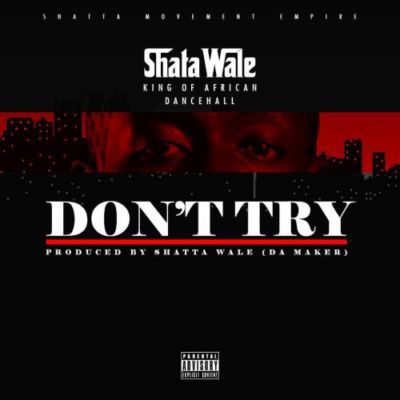 shatta-wale-–-don’t-try-criss-waddle-diss