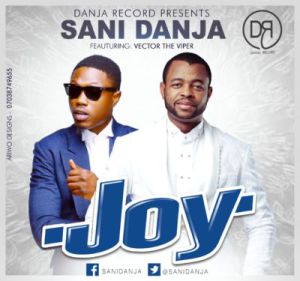 sani-danja-x-vector-joy-artwork