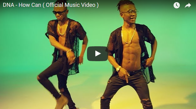 VIDEO: DNA – How Can