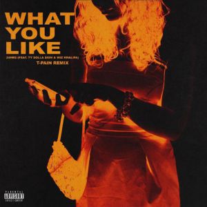 24Hrs & T-Pain – ‘Go Up’ + ‘What You Like’ (Remix)