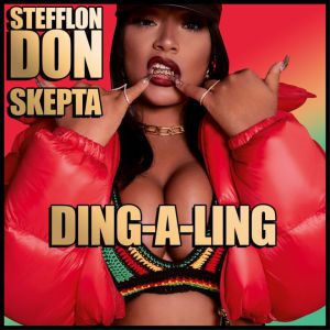 Download Stefflon Don ft Skepta – Ding-A-Ling