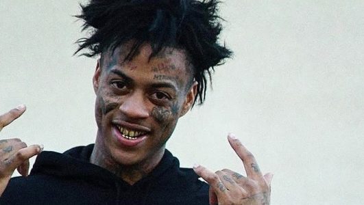 Download Boonk Facts