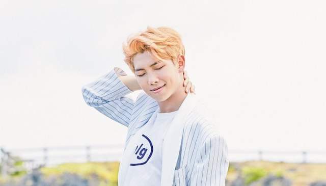 Download Fall Out Boy Ft RM – Champion (Remix)