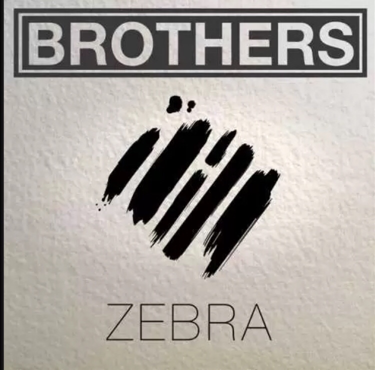 Brothers - Zebra album download