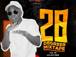 DJ Tims - 20 Degrees Mixtape (Vol. 10)