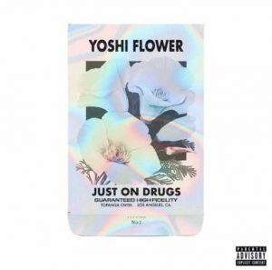 Yoshi Flower – Just On Drugs mp3 download