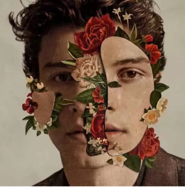 Shawn Mendes - Fallin' All In You mp3 download 