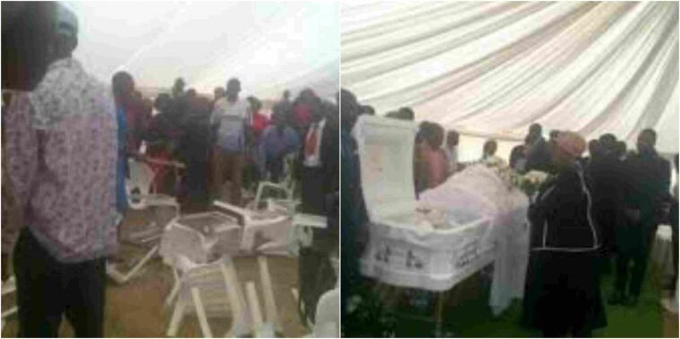 Drama at Grace Mugabe’s mother’s funeral as big cobra suddenly shows up