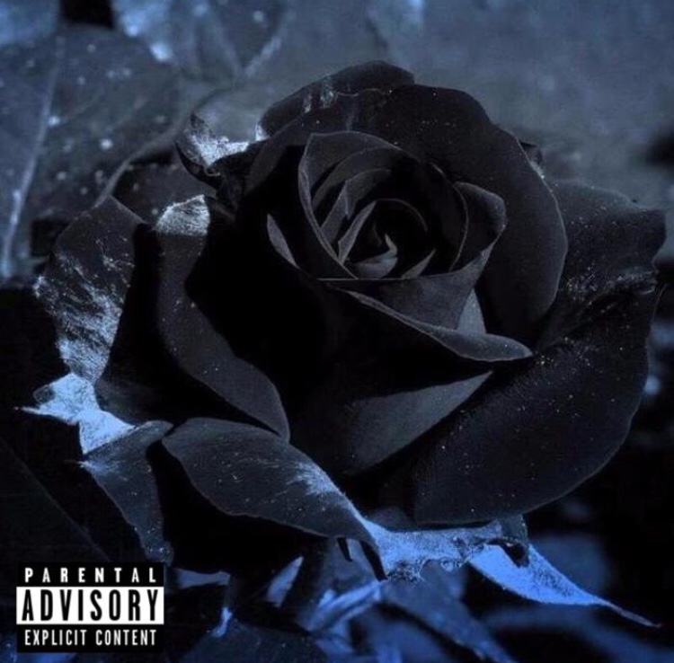 Bow Wow - Wish I Never Met Her