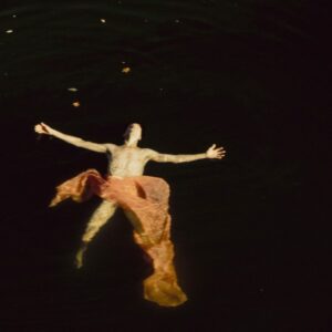 TR/ST The Destroyer – 1