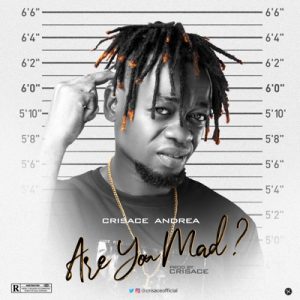 Crisace Andrea – Are You Mad