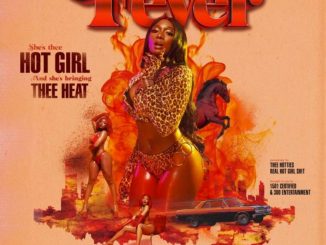 Megan Thee Stallion - Realer