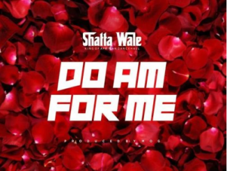 Shatta Wale – Do Am For Me