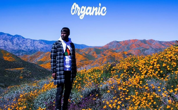 Casey Veggies - Organic (Album) Casey Veggies - Organic (Album)