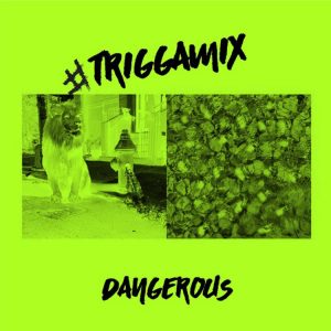 Trey Songz - Dangerous (TriggaMix)