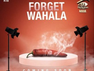 Winner Of BBNaija Season 4 To Get N60M Worth Of Prizes