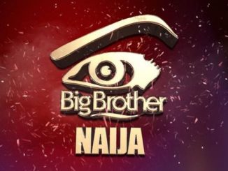 BBNaija 2019 Housemates