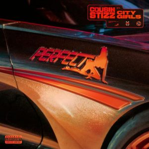 Cousin Stizz - Perfect Ft. City Girls