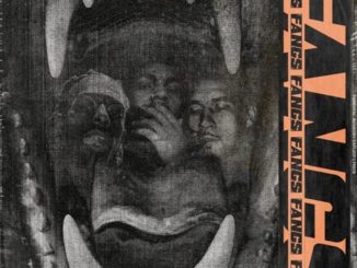 Da$h & V Don - Fangs Ft. Meechy Darko