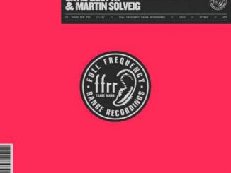 David Guetta & Martin Solveig – Thing For You