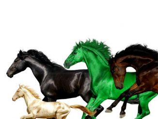 Lil Nas X - Old Town Road (Remix) Ft. Young Thug & Mason Ramsey