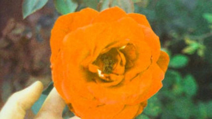 Mike Posner - Look What I've Become Ft. Ty Dolla $ign