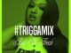Trey Songz - Big Ole Freak (TriggaMix)