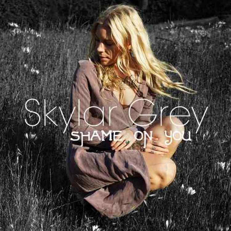 Skylar Grey – Shame on You