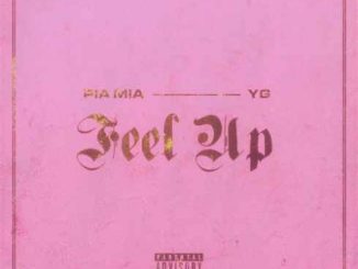 Pia Mia & YG – Feel Up