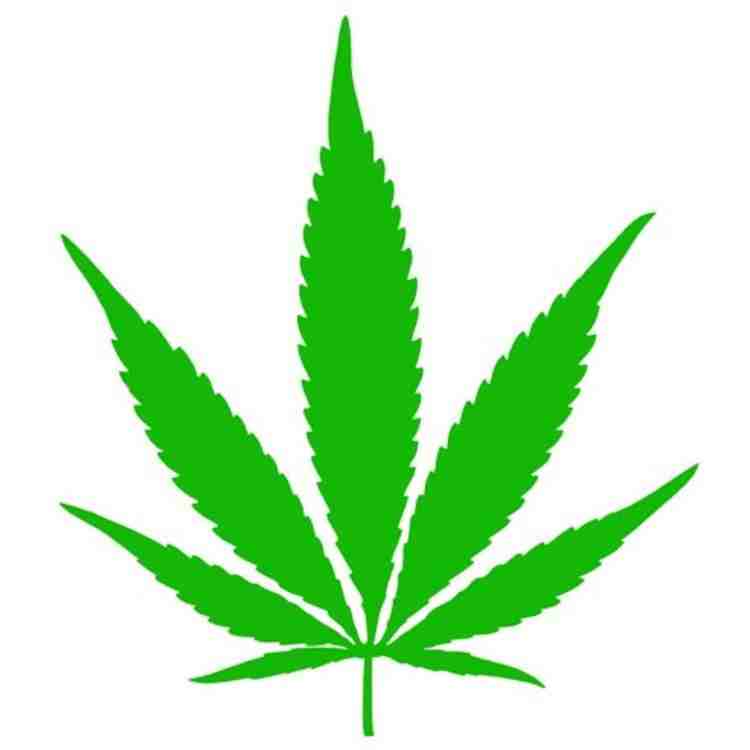 Wiz Khalifa - On The Road