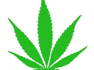 Wiz Khalifa - Really And Truly