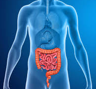 9 Healthy Foods That Will Naturally Cleanse & Detox Your Body 9 Healthy Foods That Will Naturally Cleanse & Detox Your Body