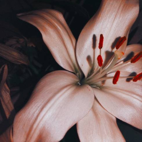 Ängie & Tail Whip – Sad Sex [mp3 Download]