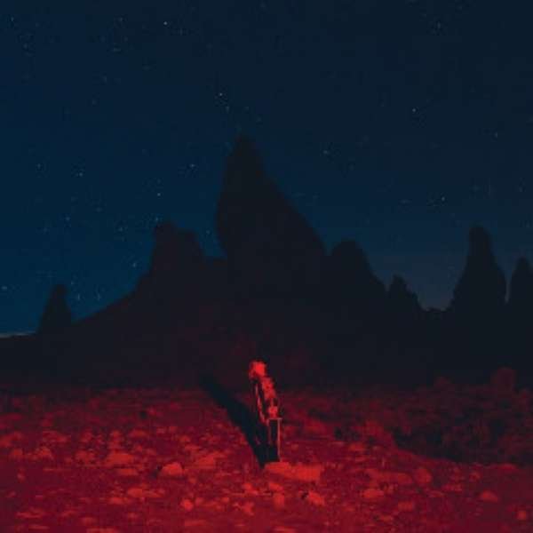 Phoebe Bridgers - Punisher Album (download)