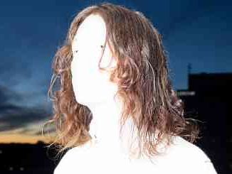 Bladee - 333 Album (download)