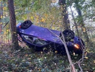 Germ – The Hijinx Tape (download)