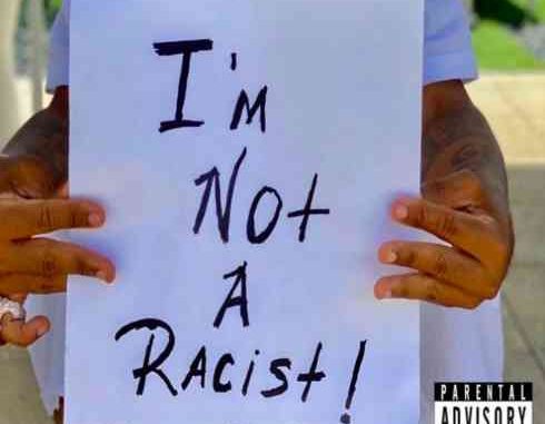 Plies - I'm Not A Racist (download) Plies - I'm Not A Racist (download)