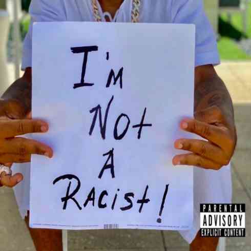 Plies - I'm Not A Racist (download)