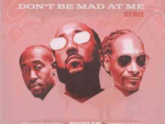 Problem Ft. Freddie Gibbs & Snoop Dogg – Don’t Be Mad At Me (Remix)