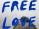 Sylvan Esso - Free Love Album (download)
