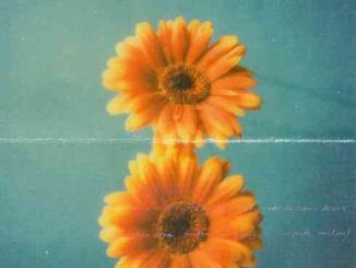 beabadoobee – Care (download)