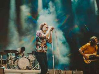 Phoenix - Identical (download)