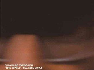 Charles Webster - The Spell 'Burial Remix' (download)