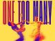 Keith Urban x Pink Duet - One Too Many (download)