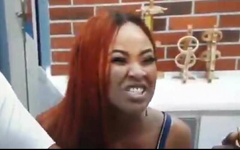 Erica insults laycon