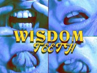 Bea Miller – wisdom teeth (download)