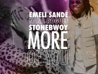 Emeli Sandé, Stonebwoy & Nana Rogues – More of You (download)