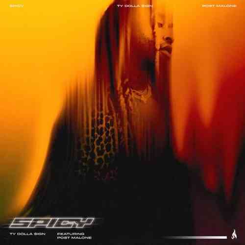Ty Dolla $ign – Spicy ft. Post Malone (download)