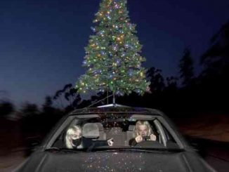 100 gecs – sympathy 4 the grinch (download)